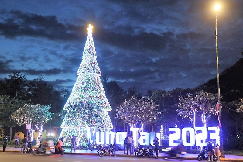 Người dân tụ tập check in trước cây thông tại Mũi Nghinh Phong