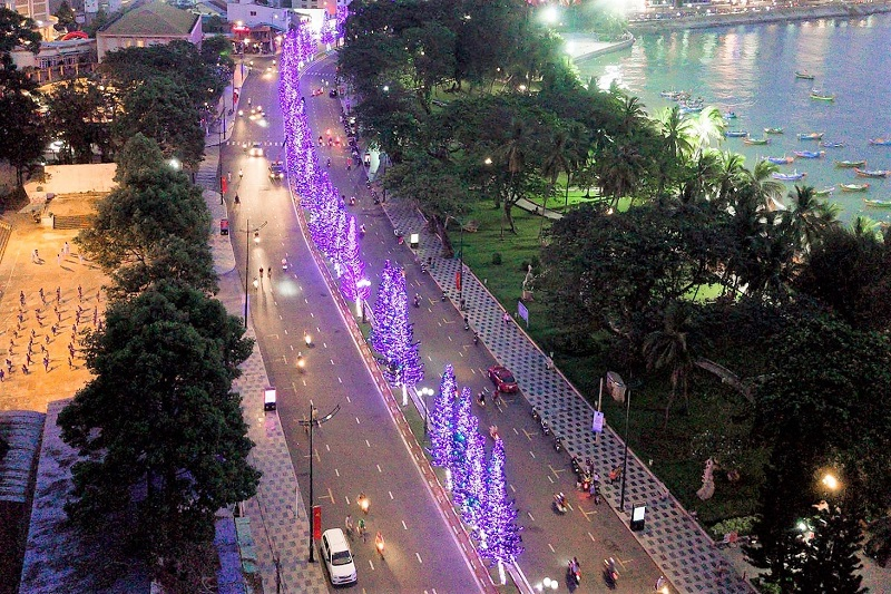 Hàng cây thông phát sáng dọc khu vực Bãi Trước