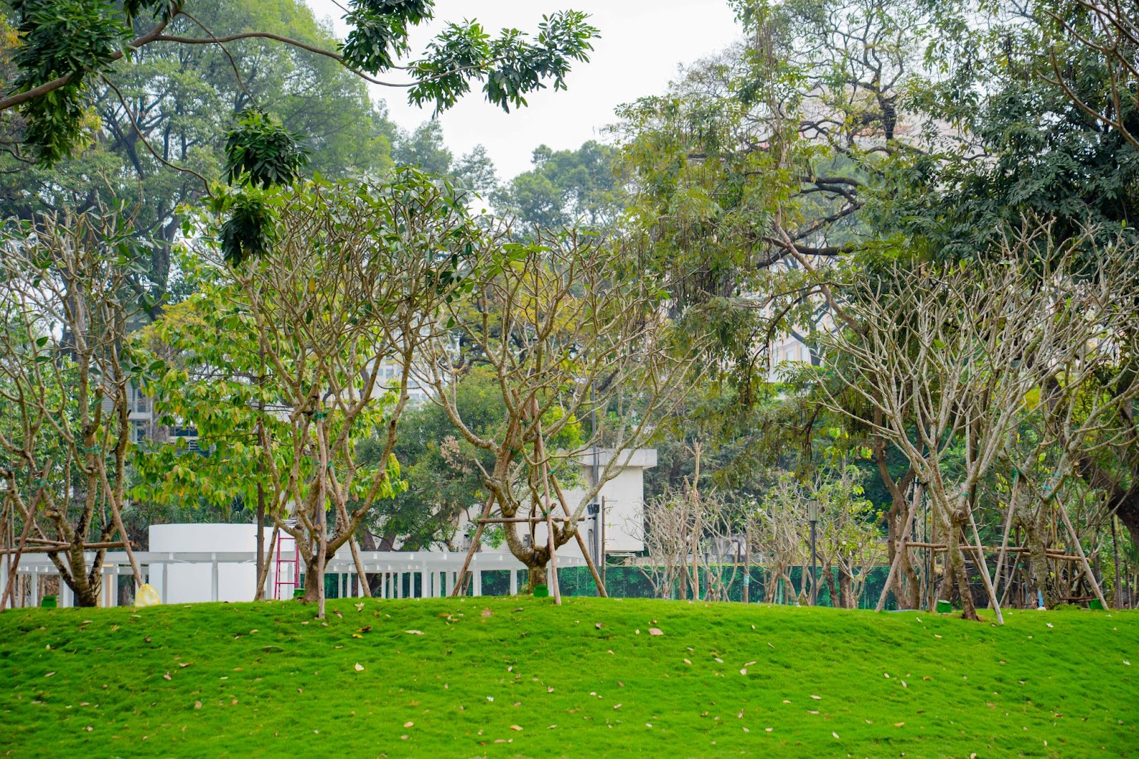 Công viên tạo ra nhiều khoảng xanh dành tặng người dân TP HCM