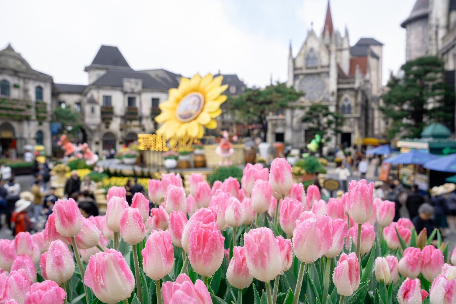 Hòa mình vào không khí lễ hội tại Sun World Ba Na Hills (Đà Nẵng)