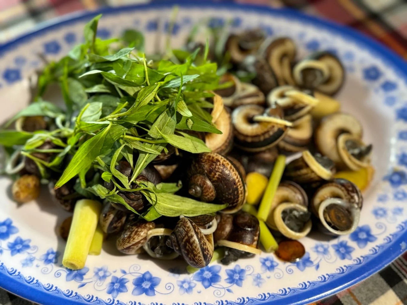 Ốc xu núi Bà có hương vị đậm đà, hấp dẫn. 