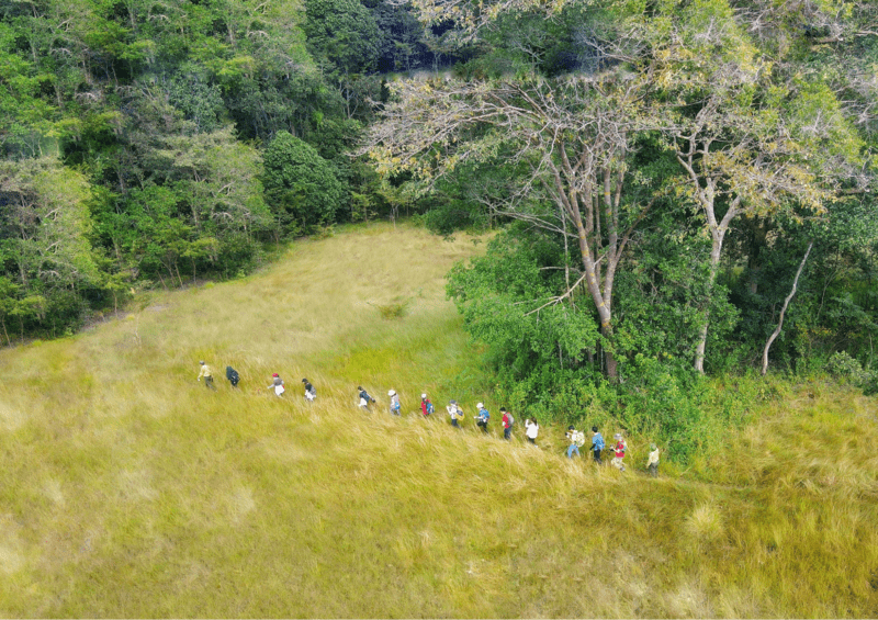Du khách có thể trải nghiệm trekking và khám phá vườn quốc gia Lò Gò-Xa Mát.