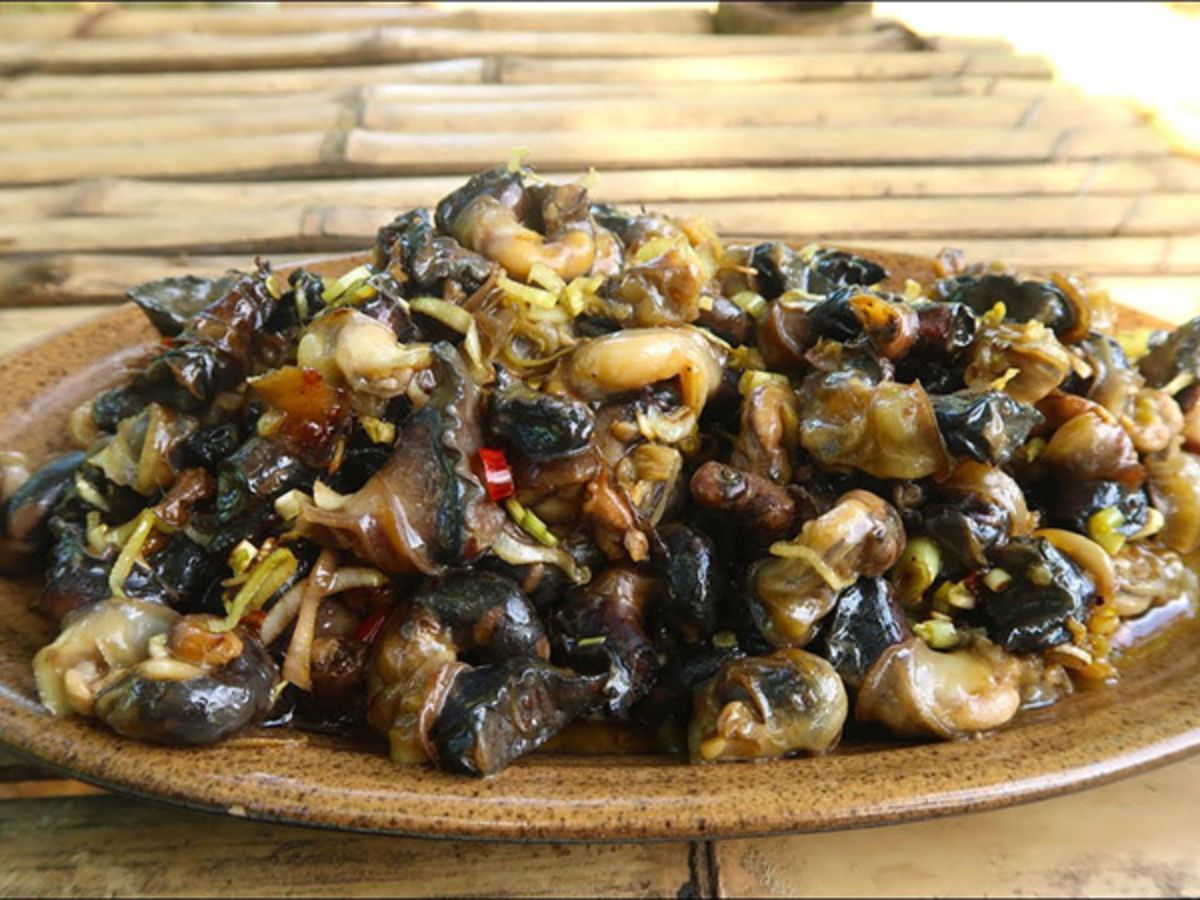 Ốc Núi Bà Đen gắn liền với vùng núi Tây Ninh.