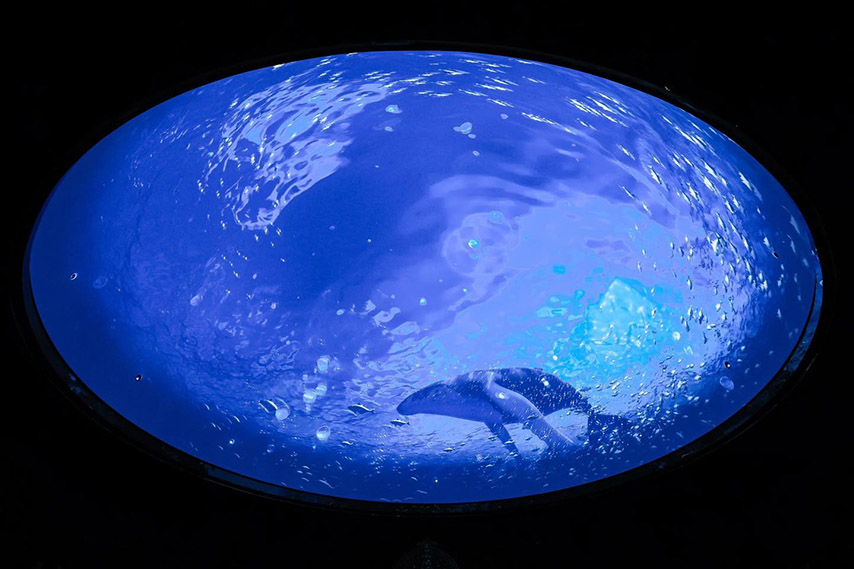 Màn hình chiếu phim dạng vòm có độ phân giải lên đến 16 triệu pixels