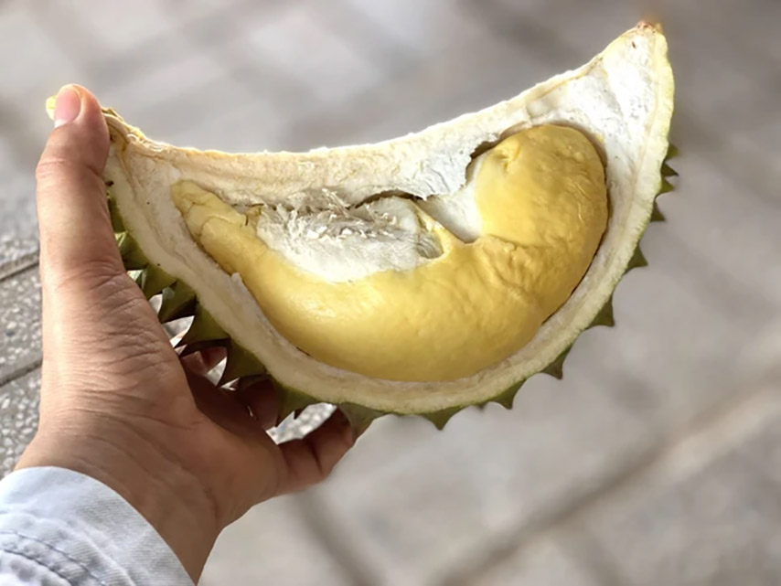 Sầu riêng trồng ở Tây Ninh có múi màu vàng nhạt, ngọt thơm, thịt không bị nhão (Nguồn: Internet)