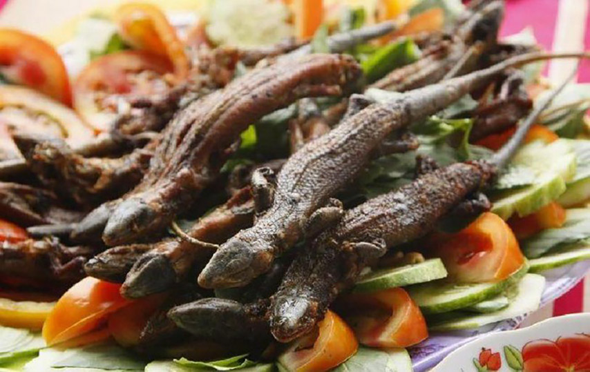Món thằn lằn núi Bà Đen nướng thường xuất hiện trên các bàn nhậu của người dân Tây Ninh (Nguồn: Internet)