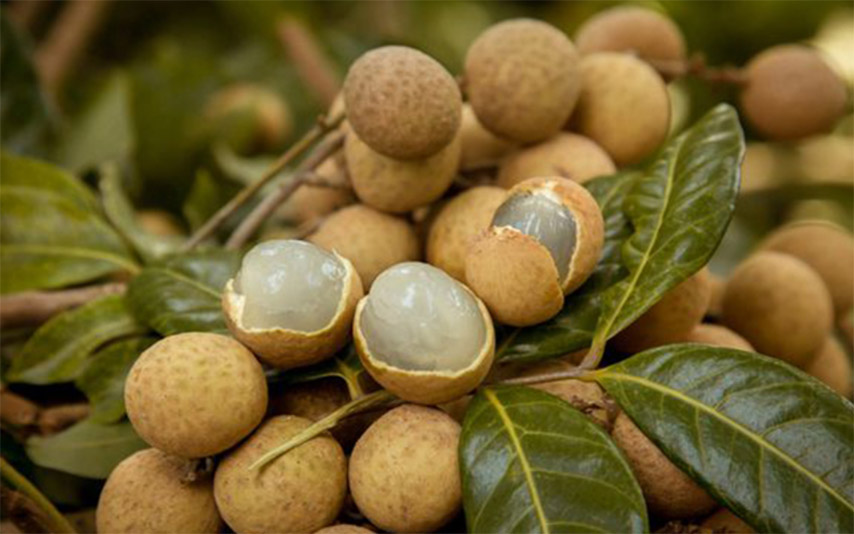 Nhãn Tây Ninh có cùi dày, vị ngọt thanh, thơm nhẹ (Nguồn: Internet)