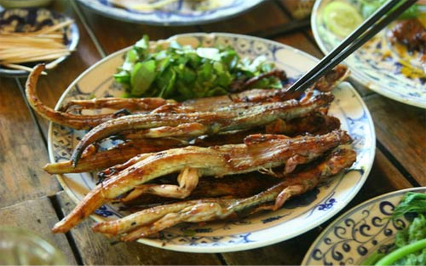 Thằn lằn núi Bà chỉ ăn các loại thuốc và cây cỏ trên núi Bà Đen nên thịt rất giàu dưỡng chất (Nguồn: Internet)