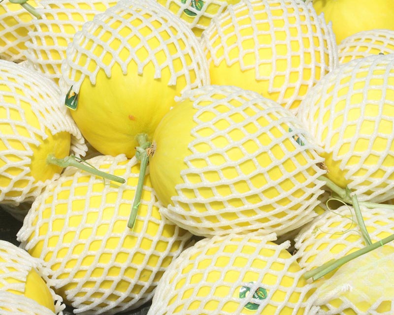 Chất lượng dưa lưới tại Farm luôn được xếp TOP 1 về độ mọng nước, quả to tròn và thiên về vị ngọt đậm (Nguồn: hoangxuanfarm.com)