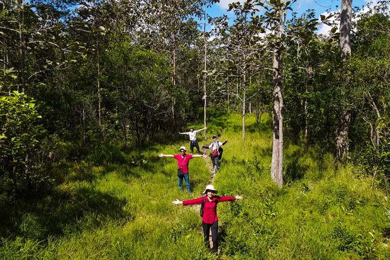 Khung cảnh hai bên đường rất đẹp, không khí trong lành, dễ chịu
