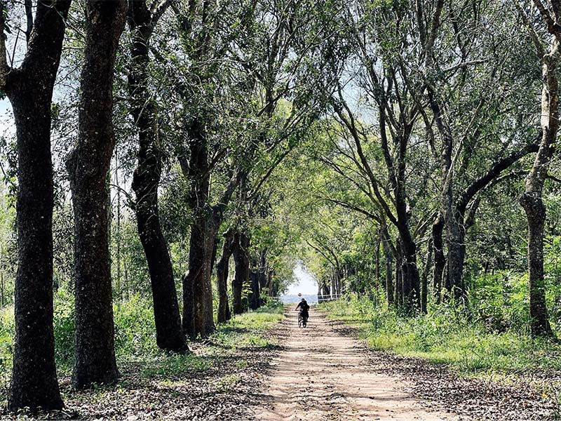 Trải nghiệm đạp xe trên các con đường mòn trong Nông trại Phú Gia (Nguồn: dulichbinhphuoc.vn)