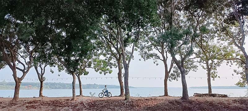 Con đường đạp xe lý tưởng dưới hàng cây xanh rợp bóng mát trong Nông Trại Phú Gia