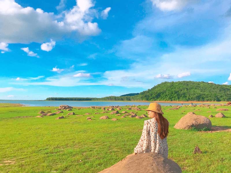 Bãi đá trứng trông như một thảo nguyên xanh rộng lớn vào ngày nắng đẹp