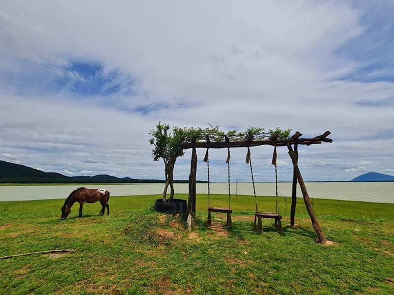 Du khách có thể tương tác với ngựa, trải nghiệm cưỡi ngựa tại khu du lịch này (Nguồn: Quang Huynh)