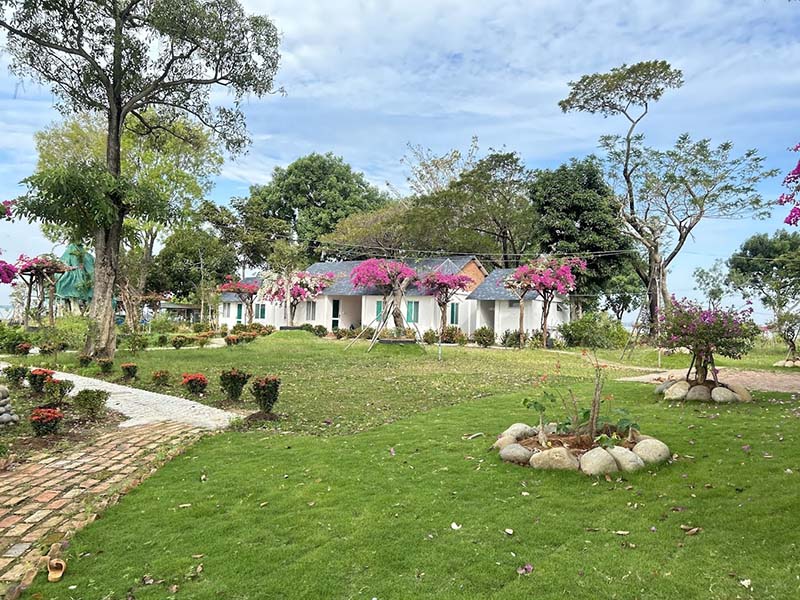 Khung cảnh thiên nhiên thơ mộng với bãi cỏ xanh mượt, những gốc bằng lăng nở rộ tại Bằng Lăng Glamping (Nguồn: Crystal Hoang)