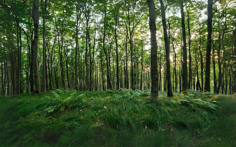 Khung cảnh thiên nhiên tươi đẹp trên dãy Yên Ngựa