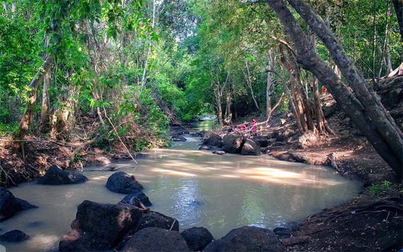 Suối Chò là điểm du lịch sinh thái lý tưởng với nhiều khu vui chơi, tắm mát cho cả trẻ em và người lớn (Nguồn: Tân Châu Tây Ninh)