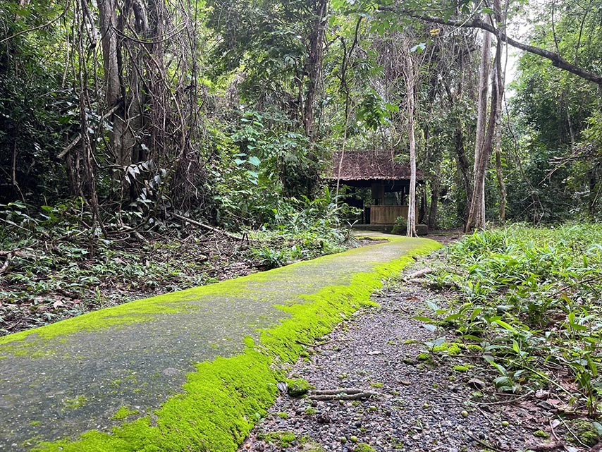 Con đường phủ rêu dẫn vào khu du tích trong rừng chàng Riệc (Nguồn: Internet)