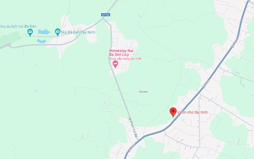 Vườn nho Tây Ninh tọa lạc khá gần Khu du lịch núi Bà Đen