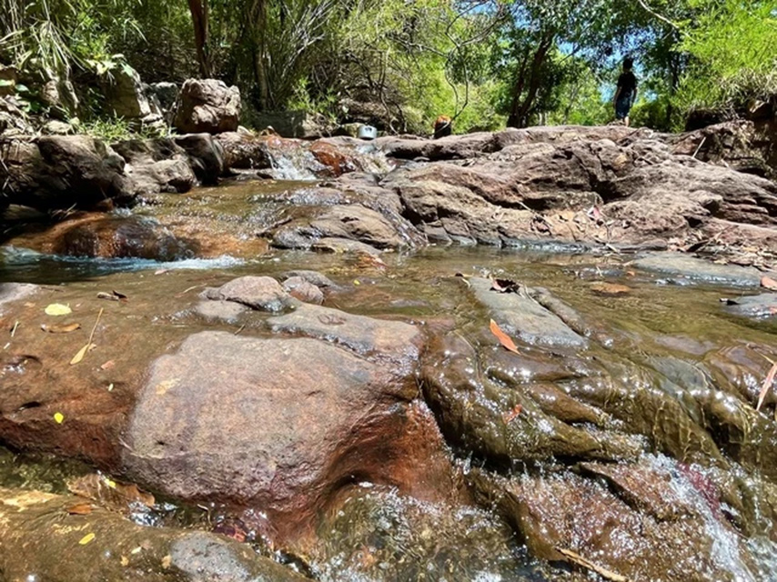 Tiếng suối róc rách hòa với những rặng cây lao xao tạo nên bản nhạc kỳ diệu của thiên nhiên suối Trúc (Nguồn: Internet)