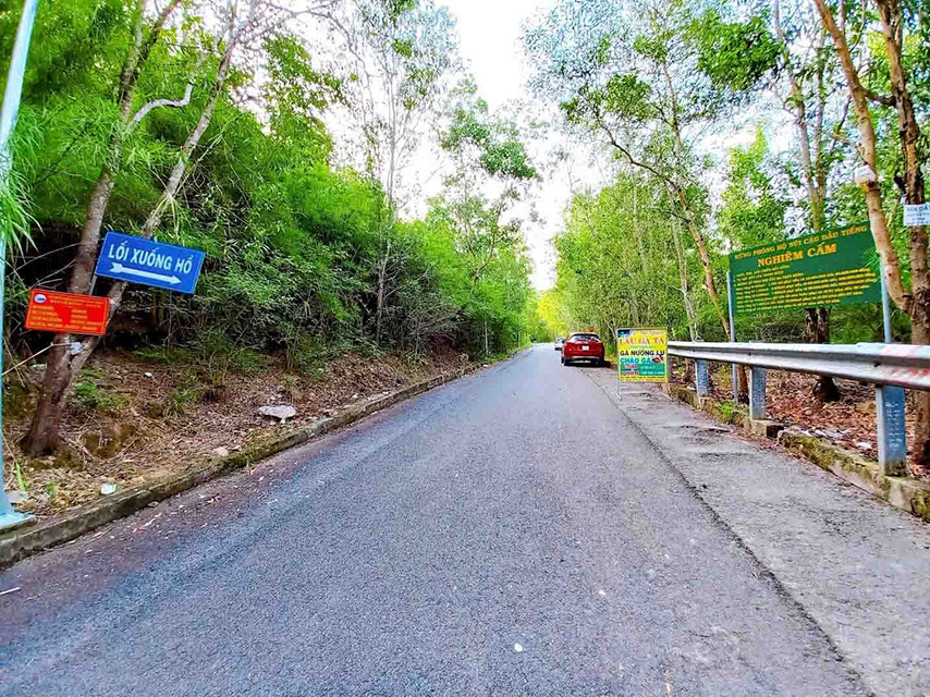 Các phượt thủ sẽ được trải nghiệm cảm giác chạy xe trên những cung đường xanh đẹp mê ly (Nguồn: Internet)