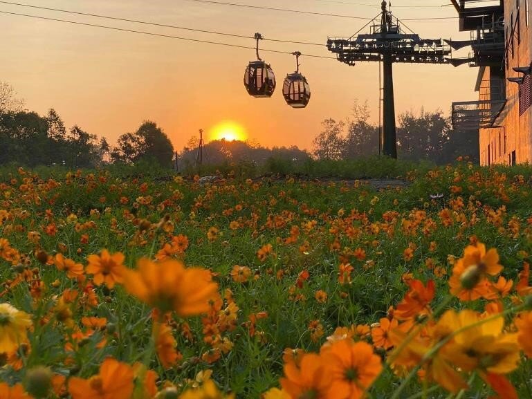 SUN GROUP