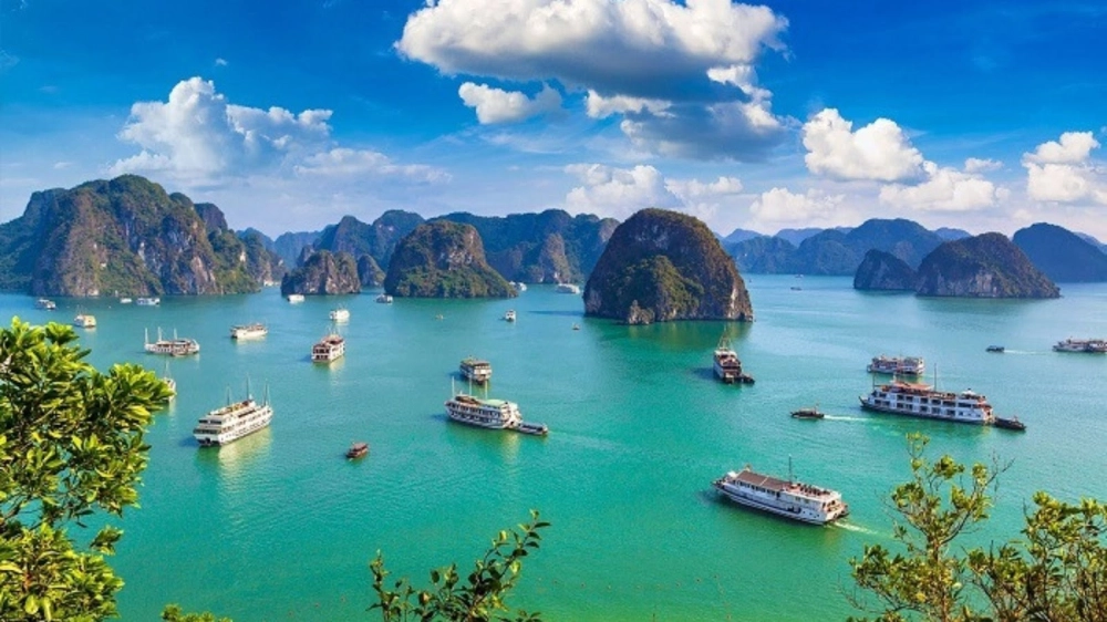 Sun Paradise Land