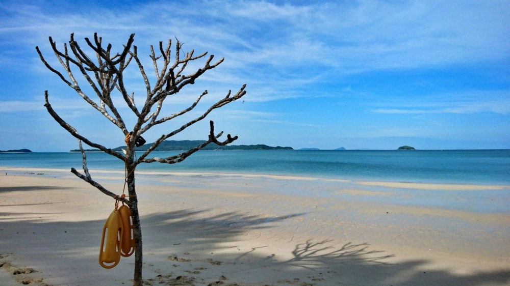 Sun Paradise Land