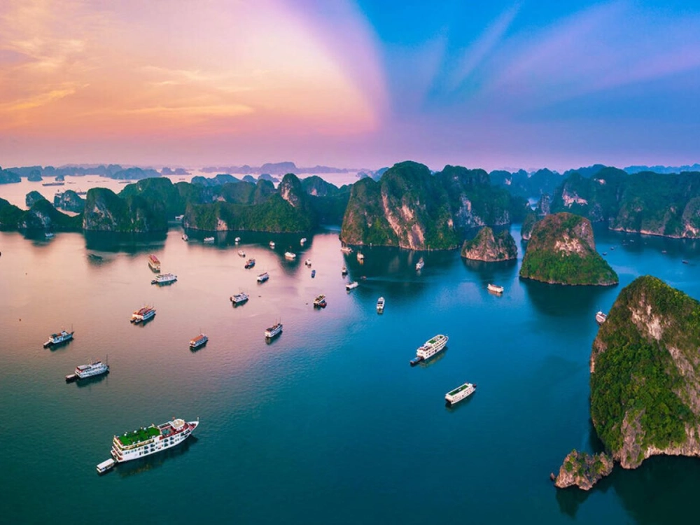 Sun Paradise Land