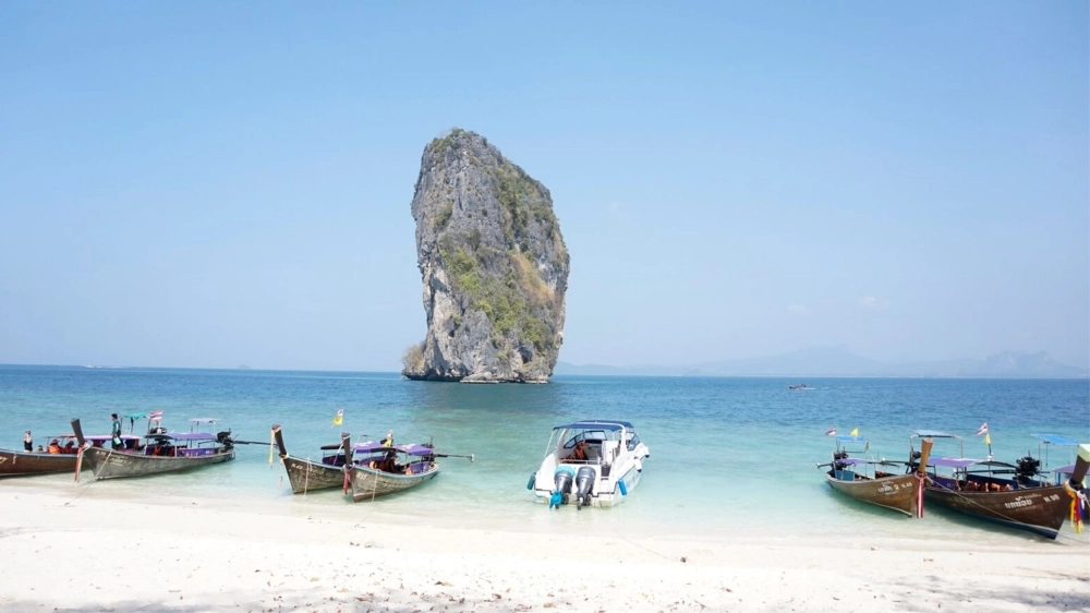 Sun Paradise Land