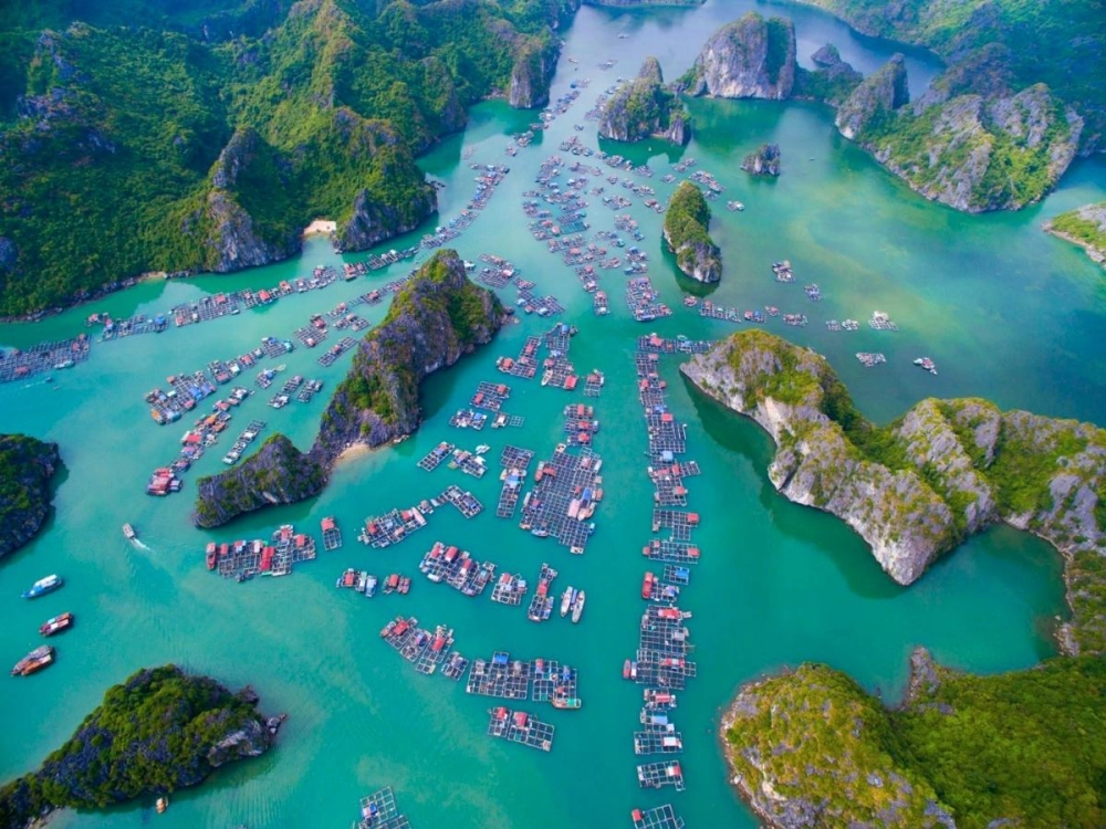 Sun Paradise Land