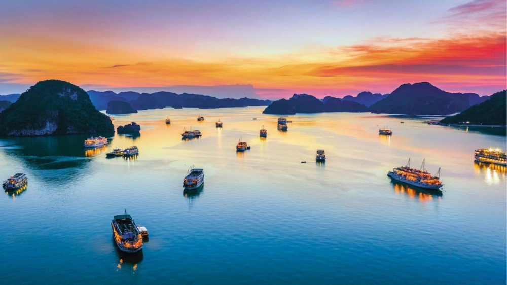 Sun Paradise Land