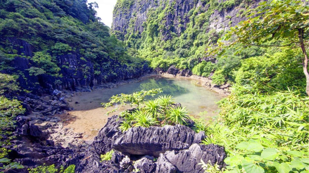 Sun Paradise Land
