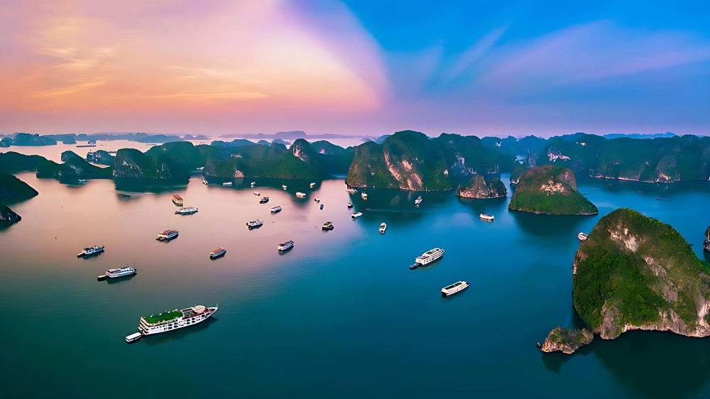 Sun Paradise Land