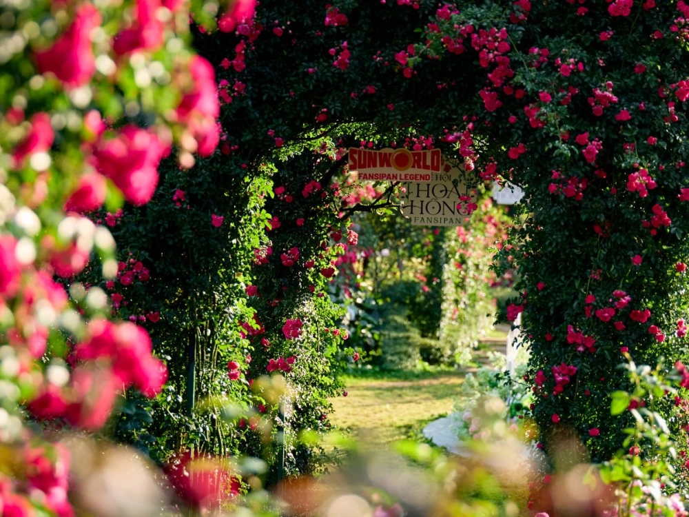 Sun Paradise Land
