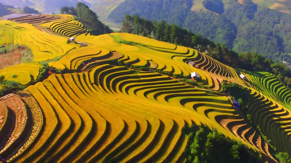 Sun Paradise Land