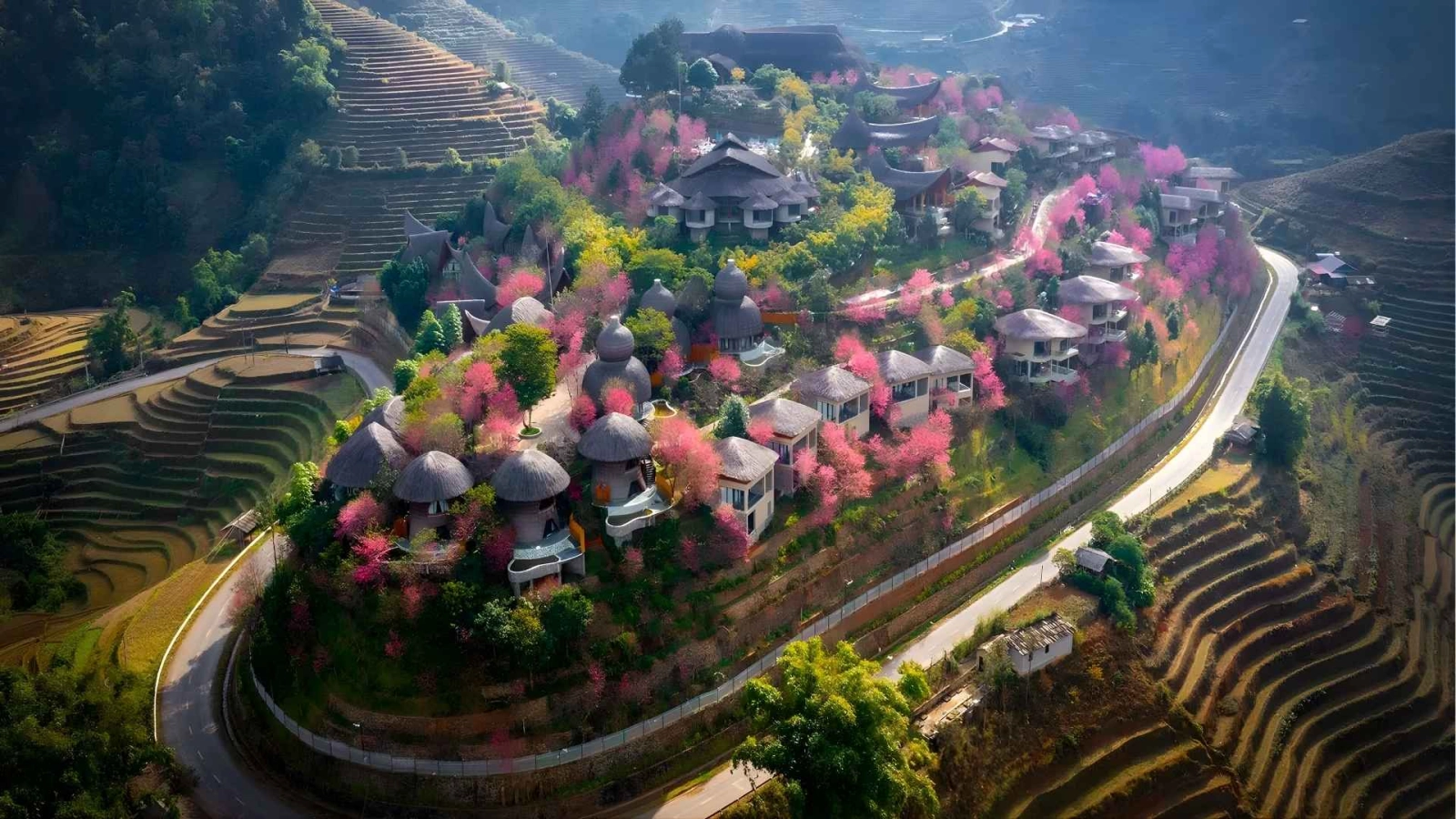 Sun Paradise Land
