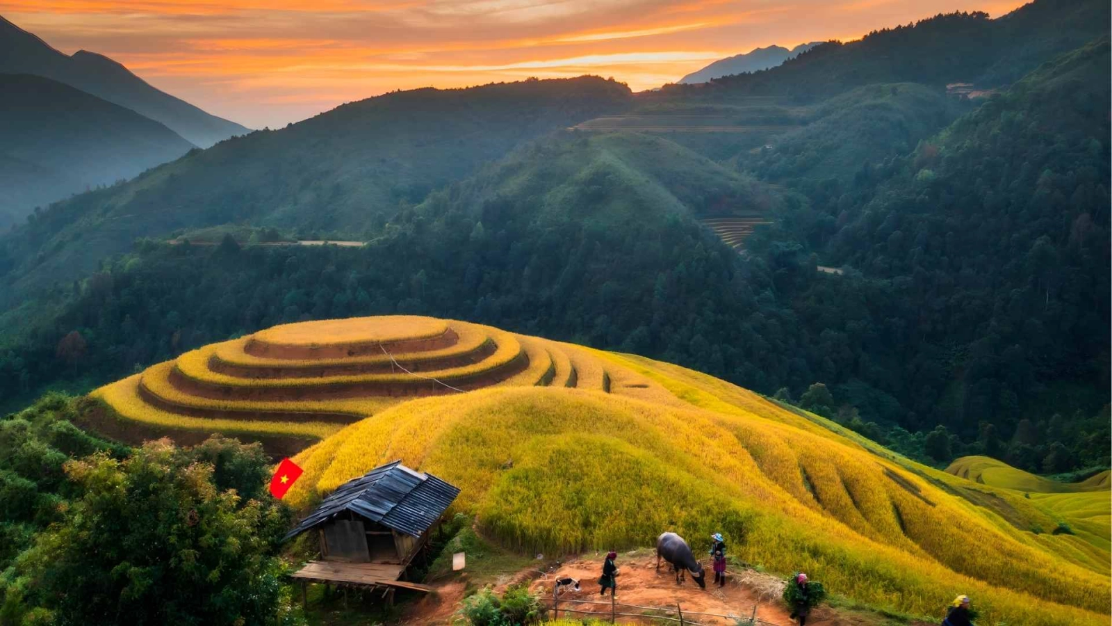 Sun Paradise Land