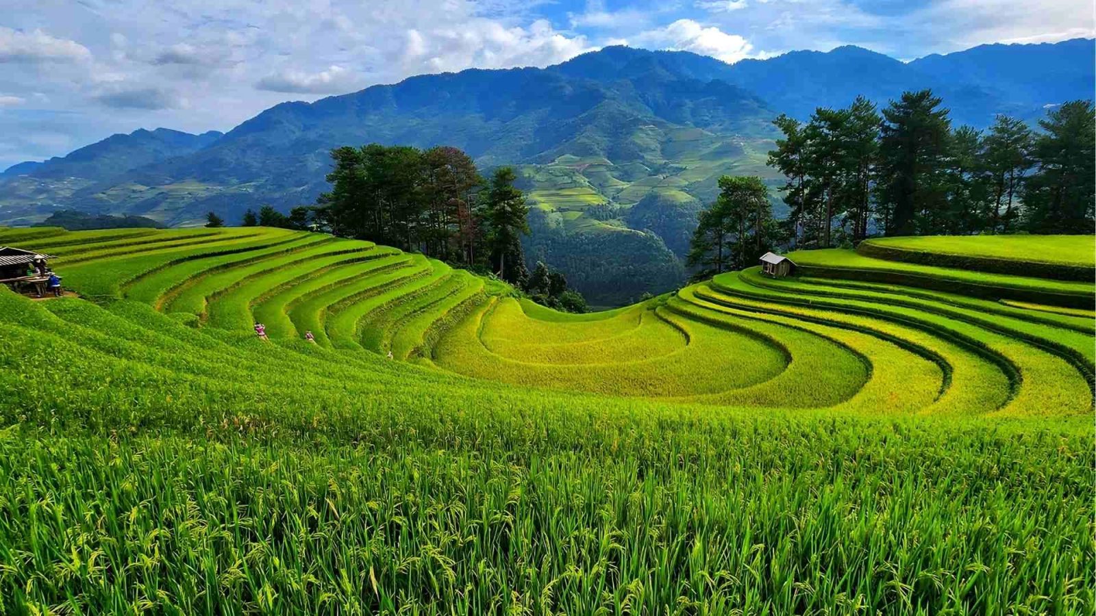 Sun Paradise Land