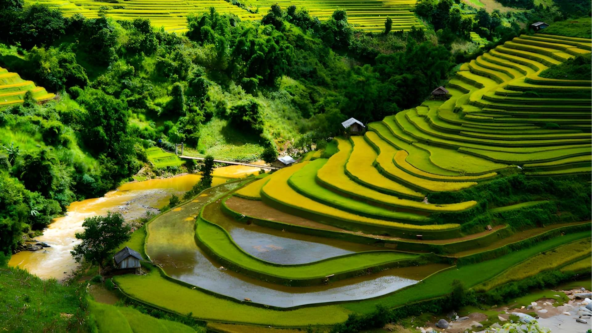 Sun Paradise Land