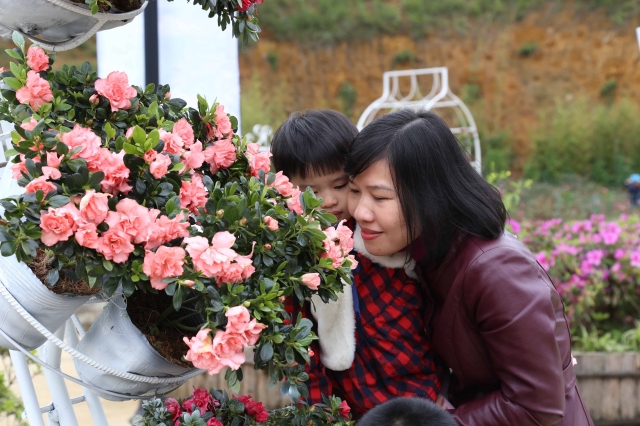 Khai mạc Lễ hội hoa Đỗ Quyên 2018 – Hàng ngàn bông hoa hội tụ